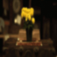 Chrysanthemum   – August 28th – 10:00 pm