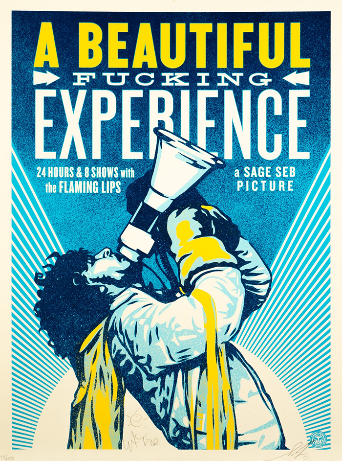 a-beautiful-fucking-experience-poster